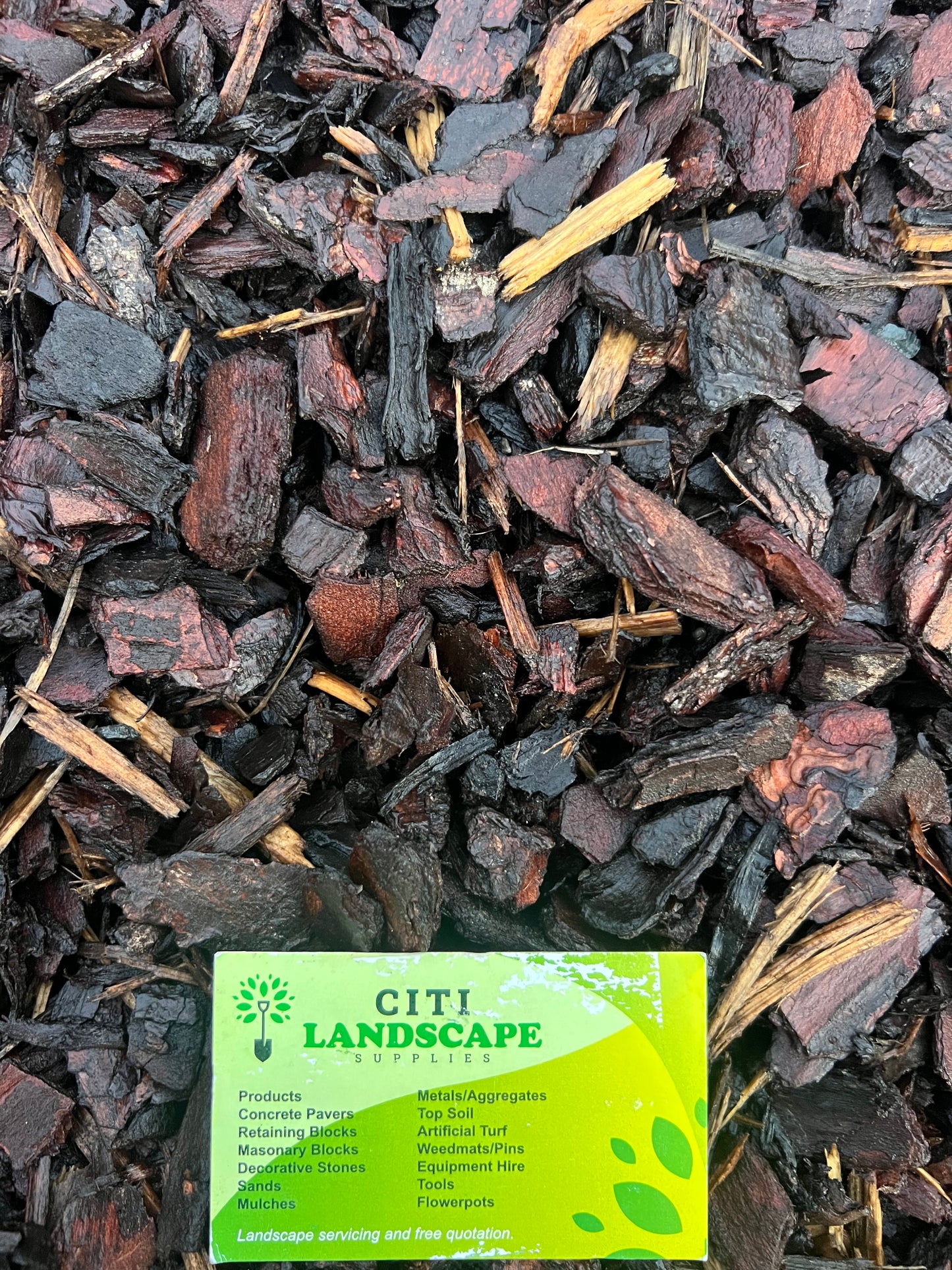 Bark #4