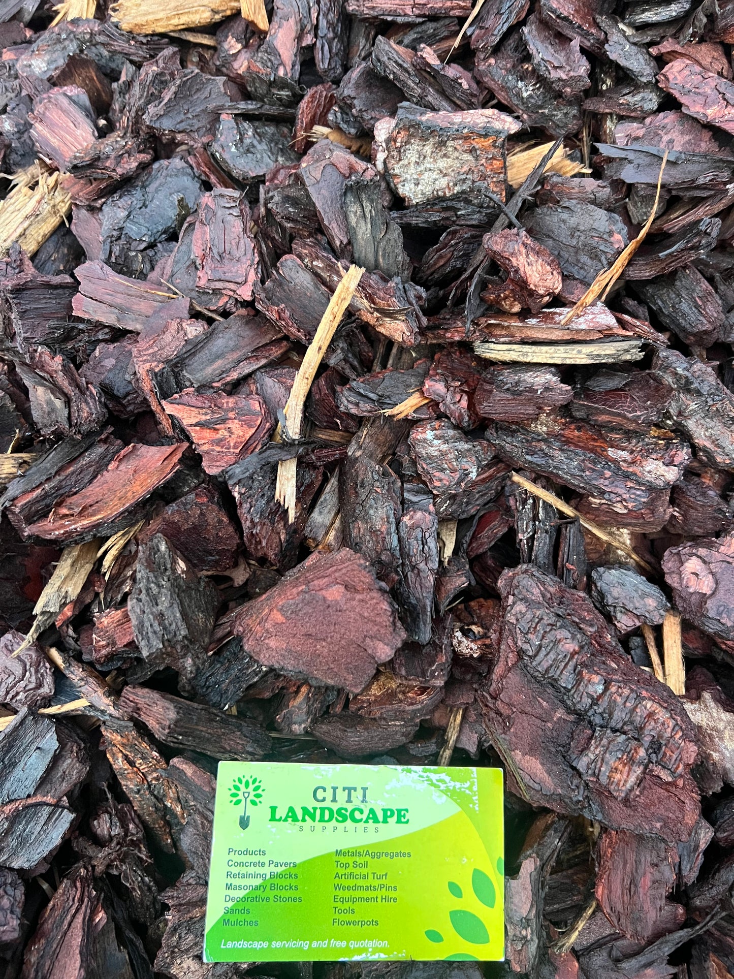 Bark #5
