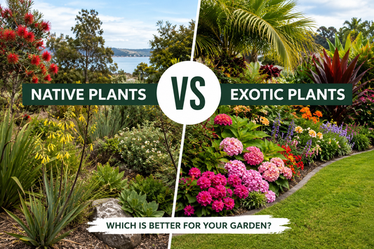 Native Plants vs Exotic Plants: Which Is Better for Your Garden?