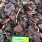 Bark #5