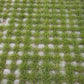 Firth Gobi Block - 200mmx200mmx100mm - 25 units/SQM - 180 Units/ pallet