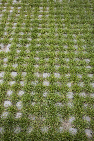 Firth Gobi Block - 200mmx200mmx100mm - 25 units/SQM - 180 Units/ pallet
