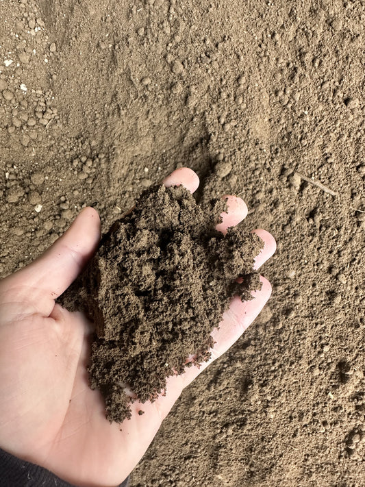 Screened Waikato Soil