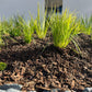 Citi Landscape Supplies | Bark number 4 | Bark no. 4 | Bark Number 5 | West Auckland