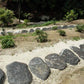 Alpine Steppers Stones