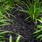 Black Mulch | Citi Landscape Supplies