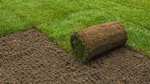 Rollout Grass - Tall Fescue