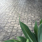 Bowers Stonepave 80 Paver | 200mmX100mmX80mm Bowers | Citi Landscape Supplies | Auckland Concrete Pavers