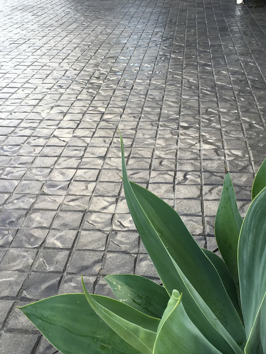 Bowers Stonepave 80 - 200mmx100mmx80mm - 50 Pavers/SQM - 480 units/pal ...