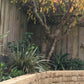 Bowers Ministone (Block) - 182/132mm x 125mm x 182 mm - 180 units/pallet